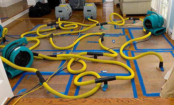 Professional Burst Pipe Water Damage technician working in Sandy Hook, CT